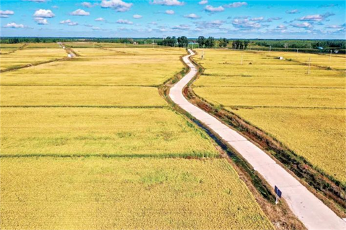 ok138cn太阳集团(古天乐代言)官方网站-Official Website