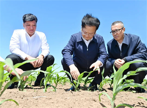 ok138cn太阳集团(古天乐代言)官方网站-Official Website