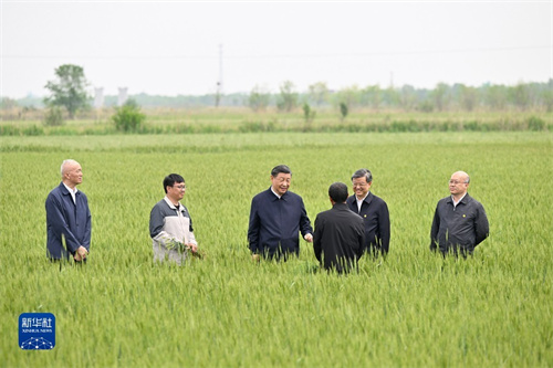 ok138cn太阳集团(古天乐代言)官方网站-Official Website