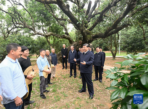 ok138cn太阳集团(古天乐代言)官方网站-Official Website