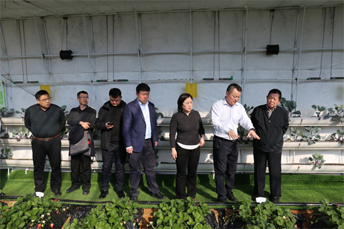 ok138cn太阳集团(古天乐代言)官方网站-Official Website